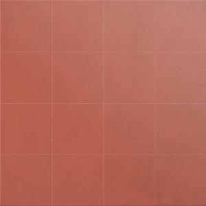 Salmón - Imagen 2